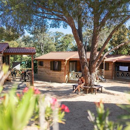 Feriendorf La Mora Calvi  Ngoại thất bức ảnh