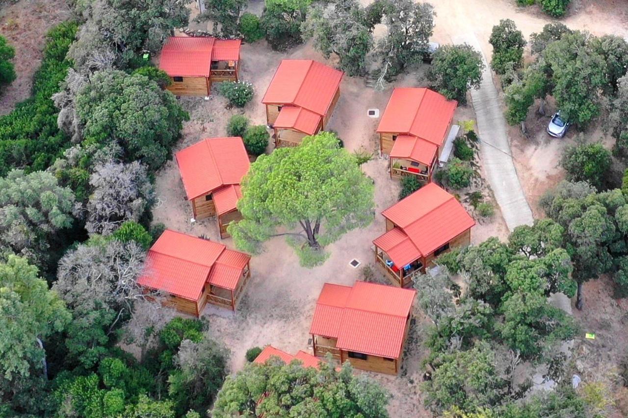 Feriendorf La Mora Calvi  Ngoại thất bức ảnh