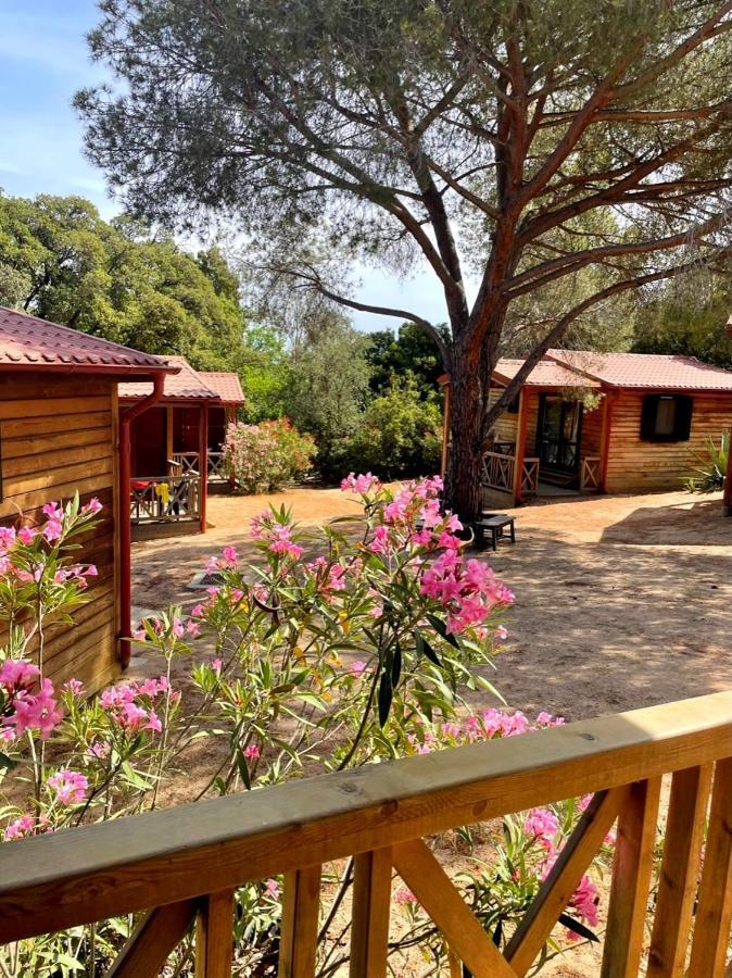 Feriendorf La Mora Calvi  Ngoại thất bức ảnh