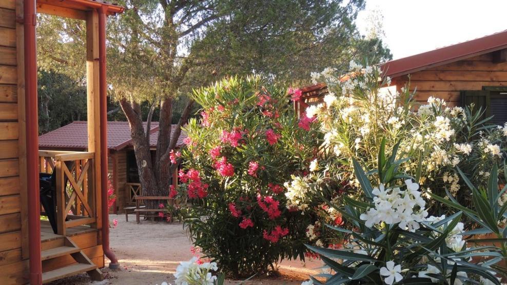 Feriendorf La Mora Calvi  Ngoại thất bức ảnh